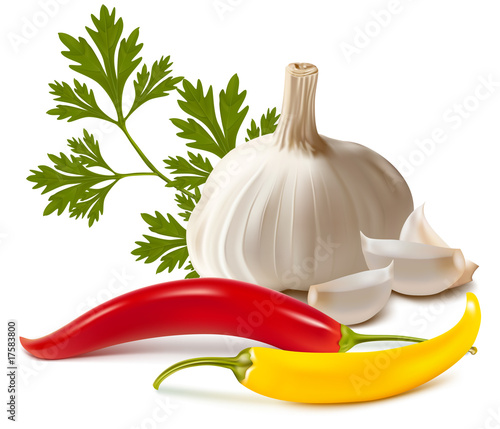 Vector. Spice.