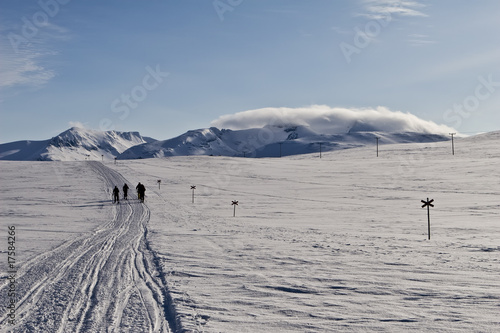 Cross country skiing in the swedish wilderness.