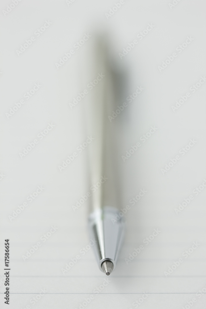 Fototapeta premium Pen