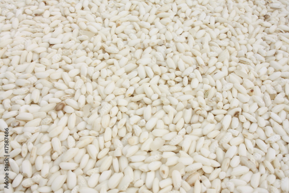 Glutinous rice / 糯稻 Glutinous rice / 糯稻