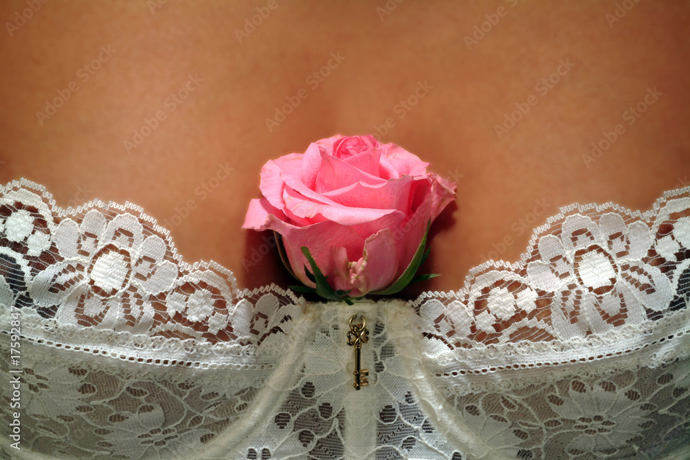 Rose Rose