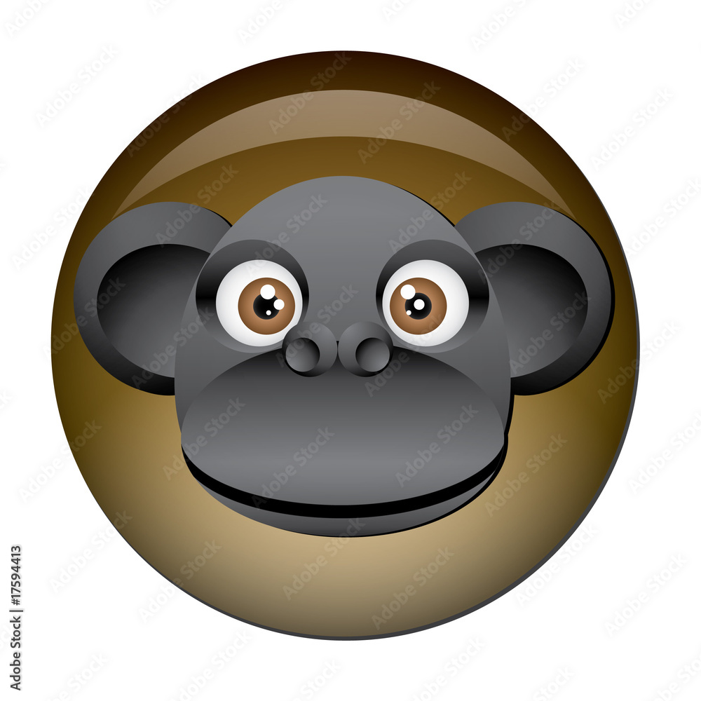 Chapa cabeza de mono