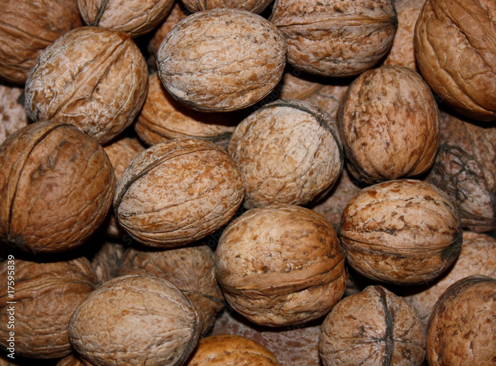Walnuts in nutshell Walnuts in nutshell
