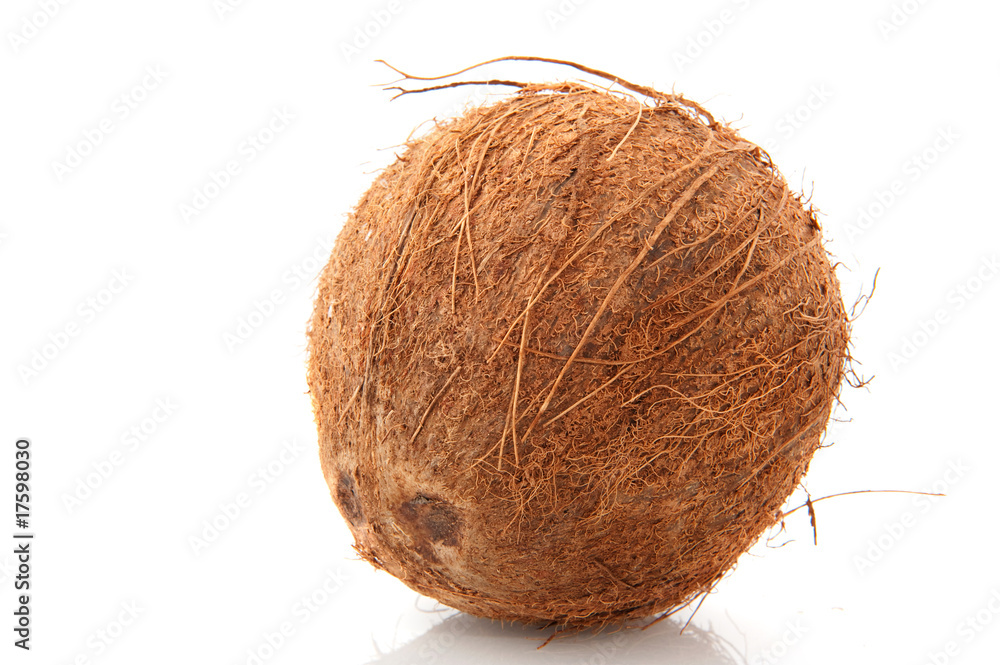 coconut coconut