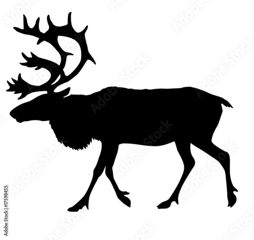 silhouette of the reindeer