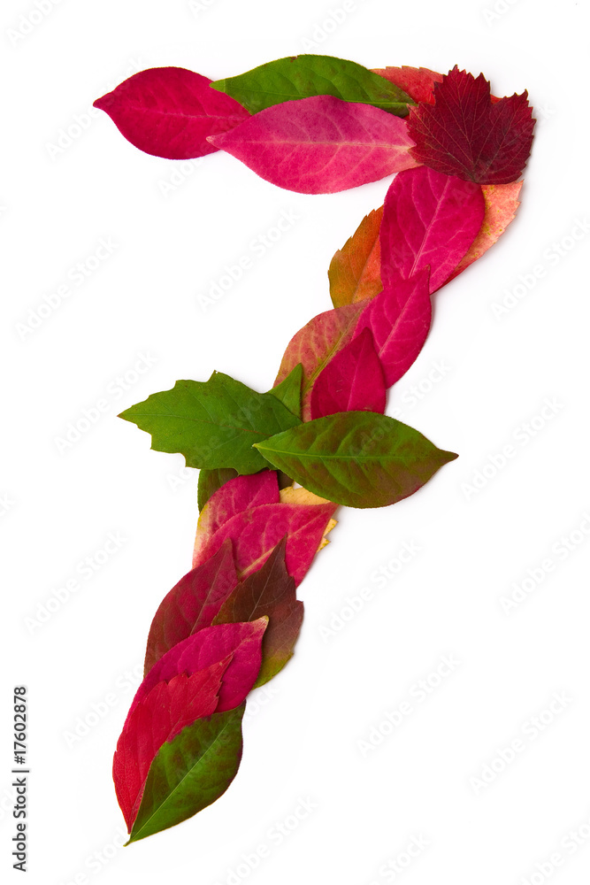 Fototapeta premium Blätterzahl 7