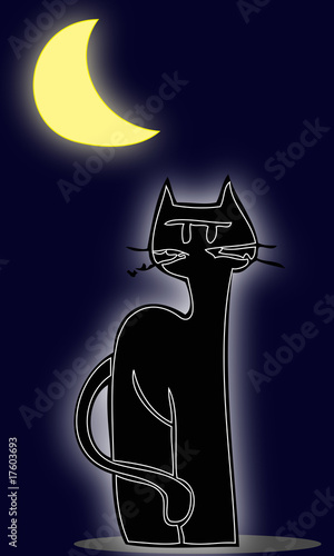 Black cat looking at the moon