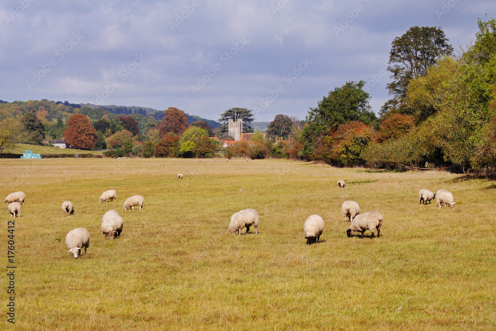 An English Rural Landscape