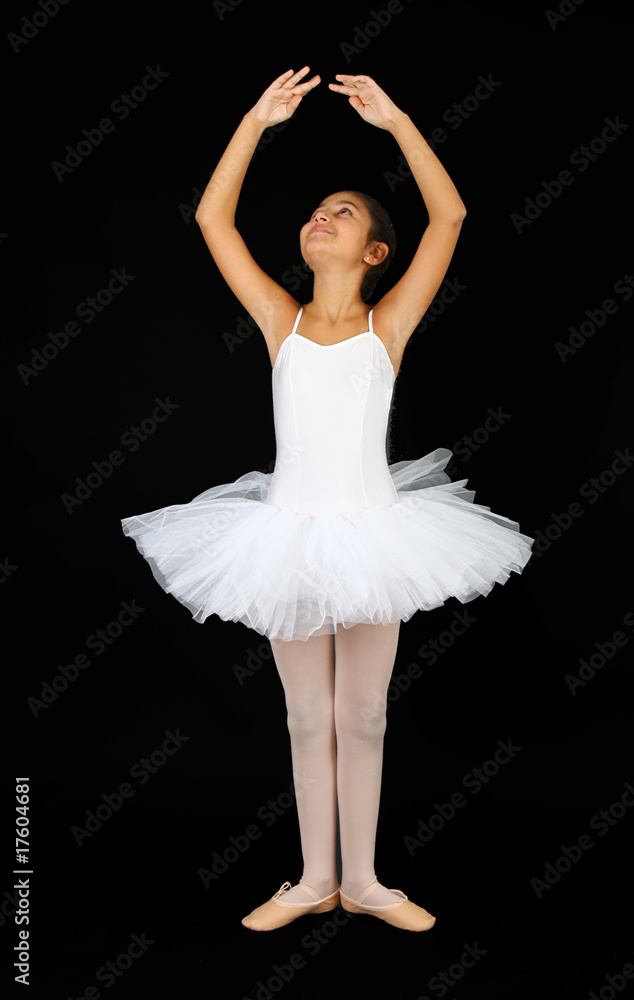 Fototapeta premium Classic dance