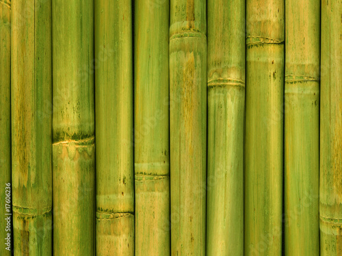 Fototapeta Naklejka Na Ścianę i Meble -  Bamboo stalks