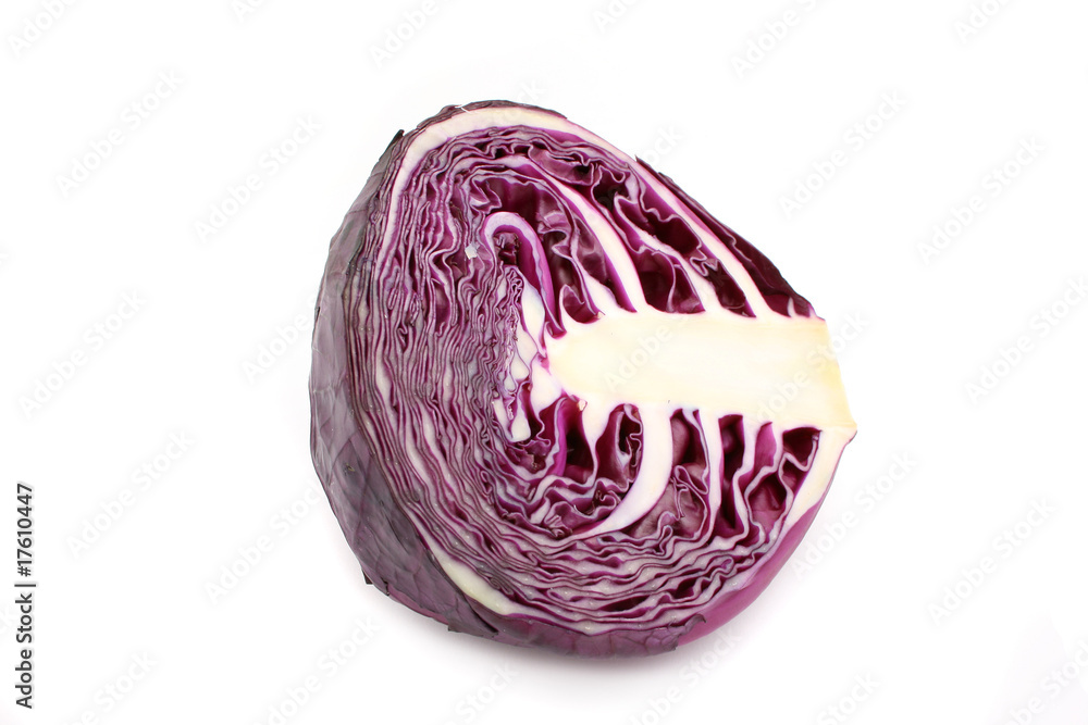 Fototapeta premium cabbage