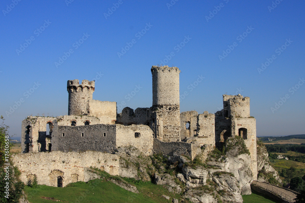 Panorama zamku w Ogrodzieńcu
