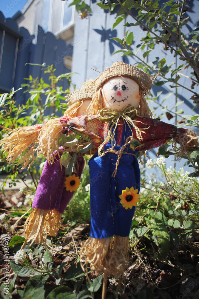 cute little scarecrow cute little scarecrow