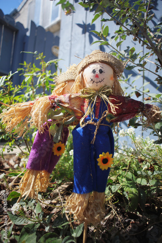 cute little scarecrow