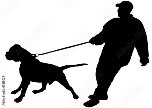 The man just keeps his large dog on a leash