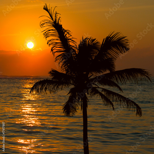 Tropical sunset scene