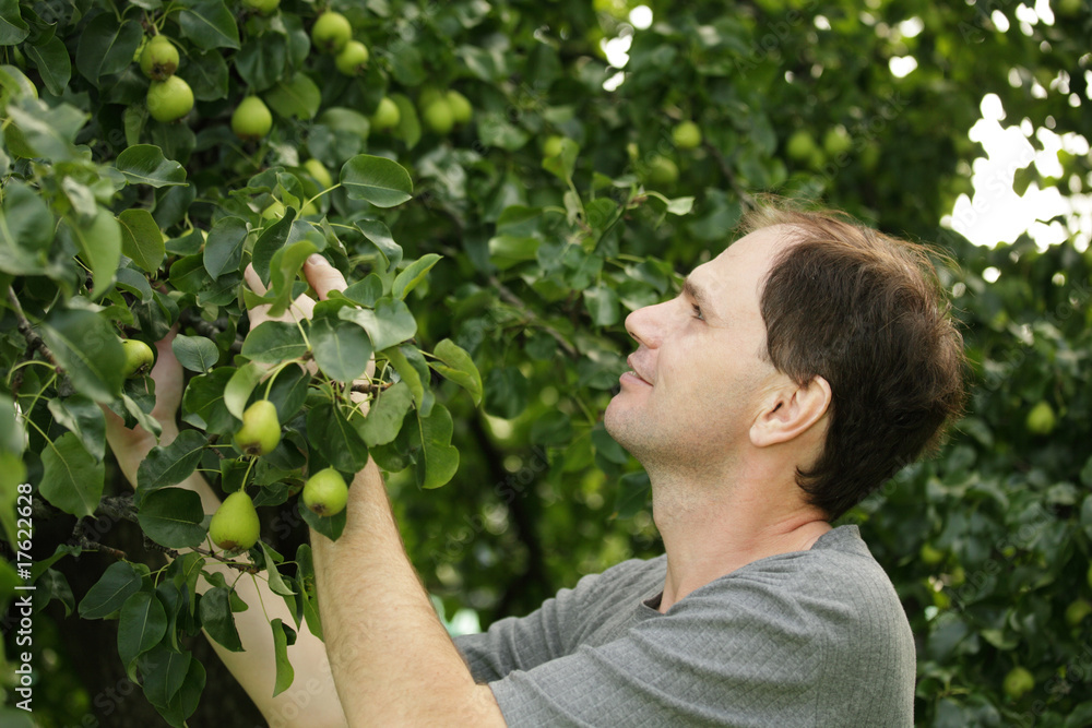 Man working in a garden Man working in a garden