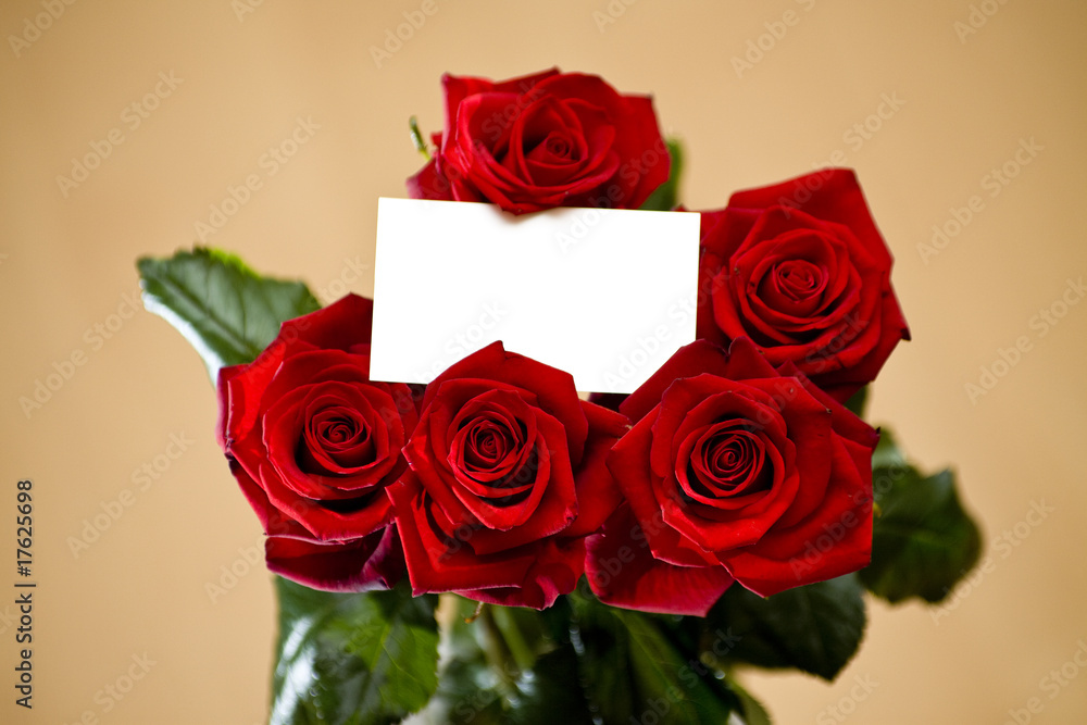 Fototapeta premium Rose 10