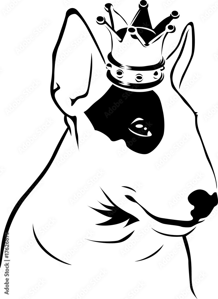 Bull Terrier King Bull Terrier King