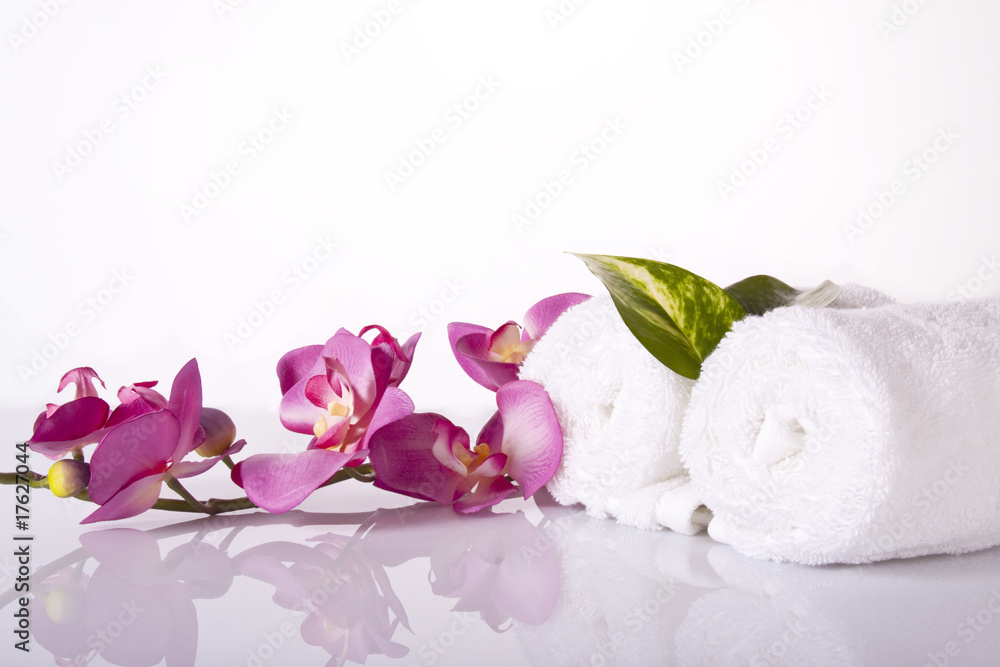 wellness wellness