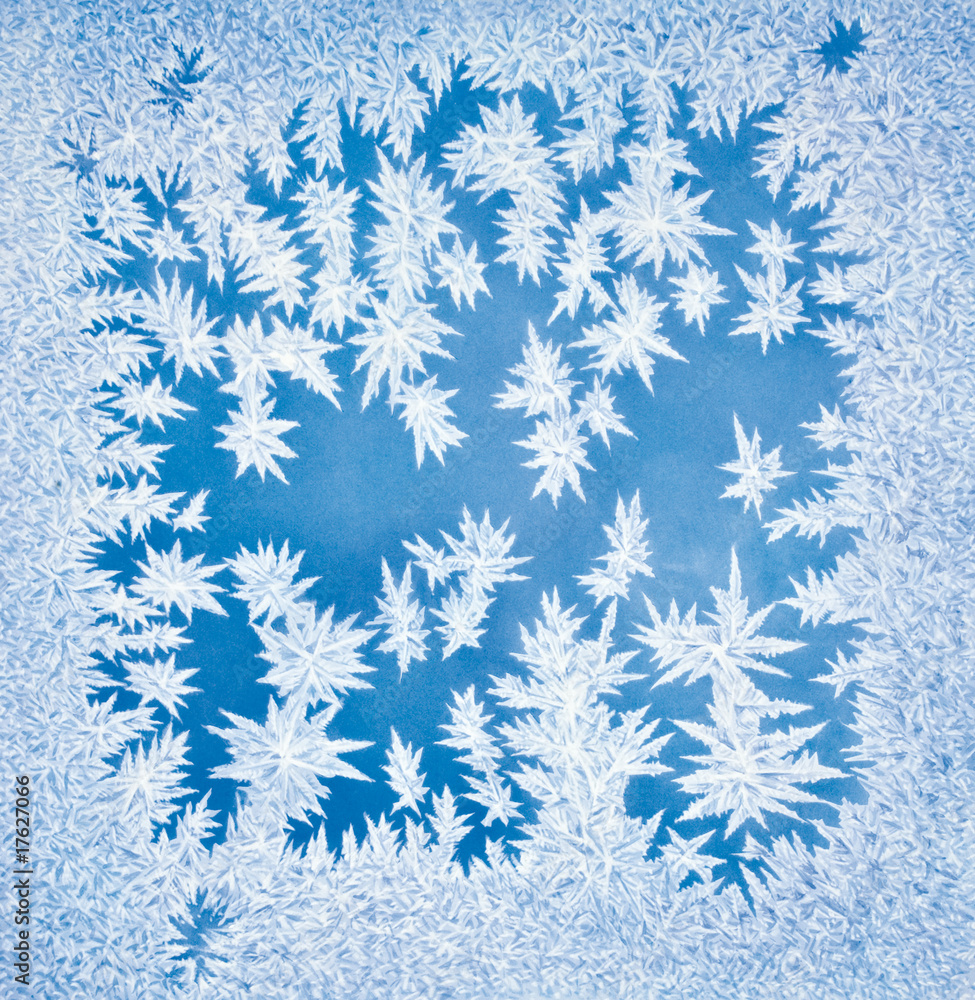 Frost Frost