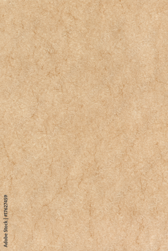 Parchment Parchment