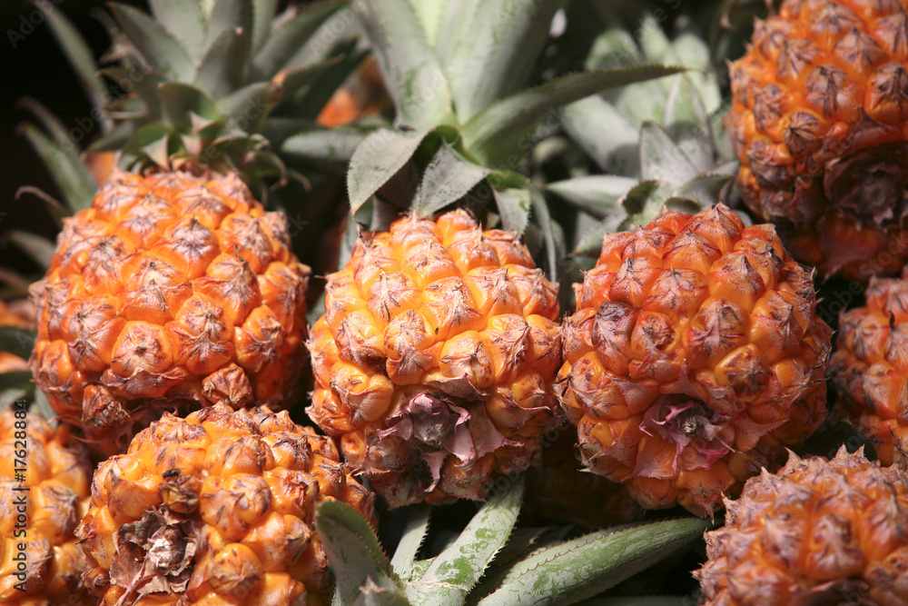 fresh raw pineapple fresh raw pineapple