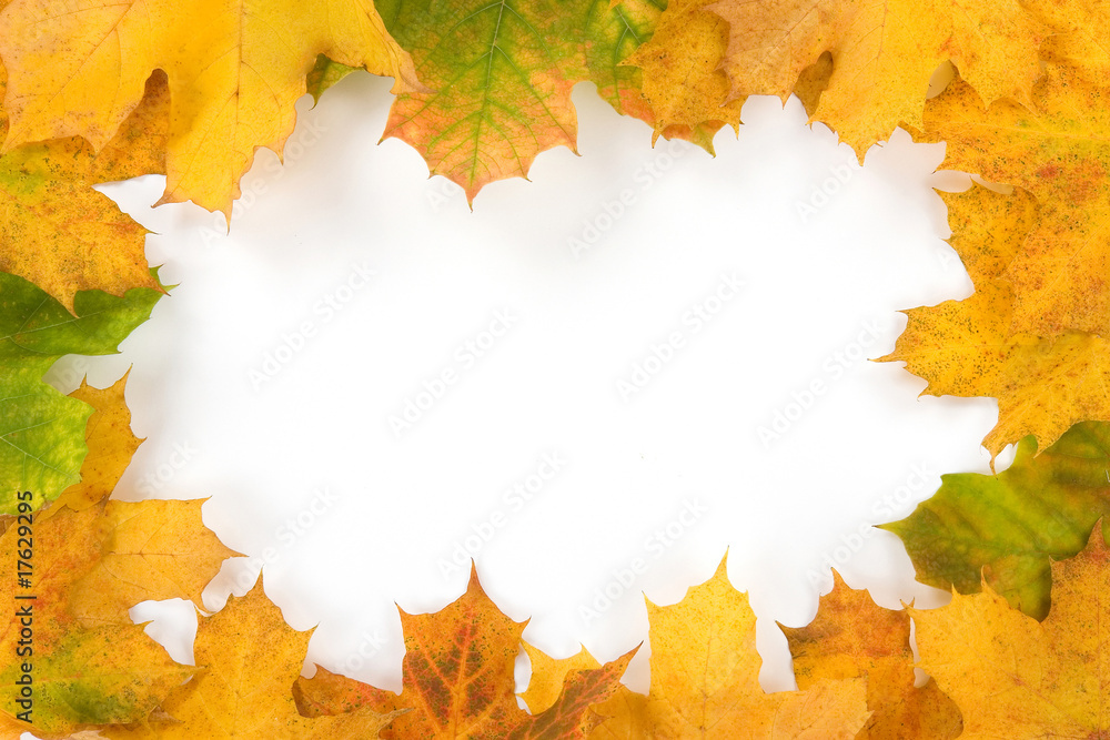 kolorowa ramka z jesiennych liści - obrazy, fototapety, plakaty 