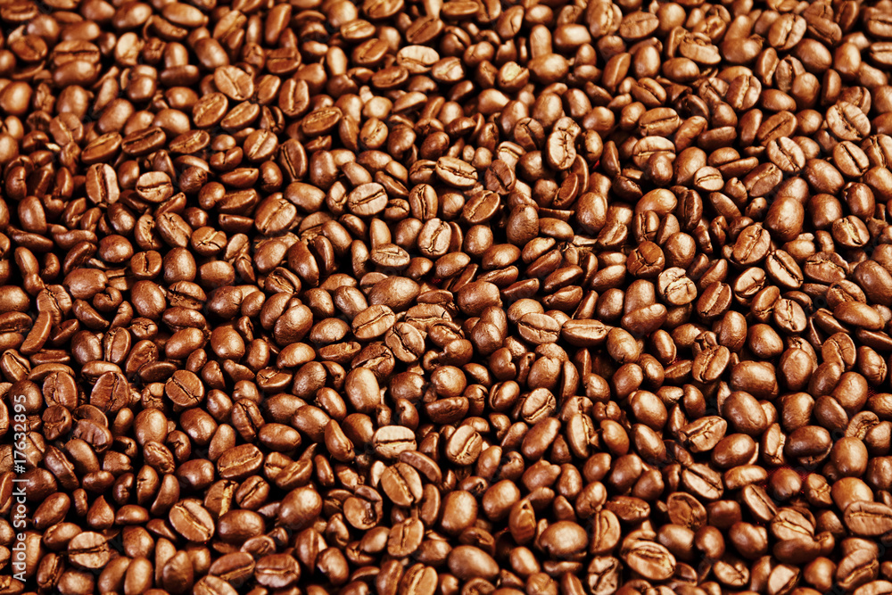 kaffeebohnen kaffeebohnen