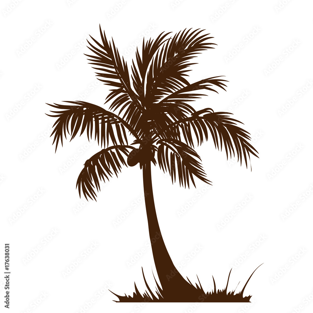 Fototapeta premium Vector palm tree