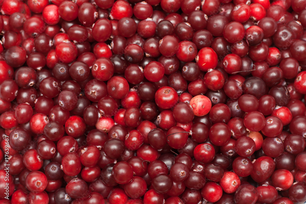 Cranberries put by background Cranberries put by background