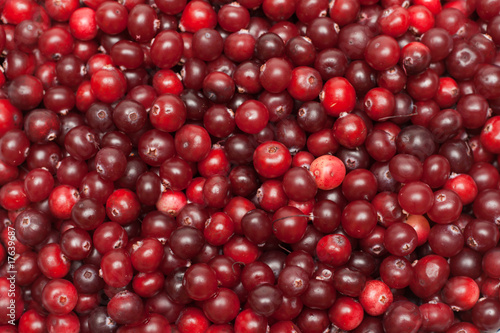 Cranberries put by background