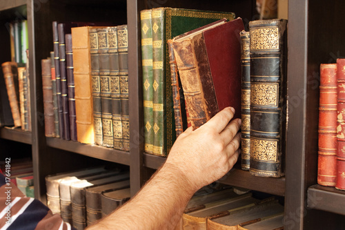 Tableau sur toile Historical library