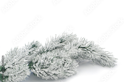 Φωτογραφία fir tree bough with snow - background