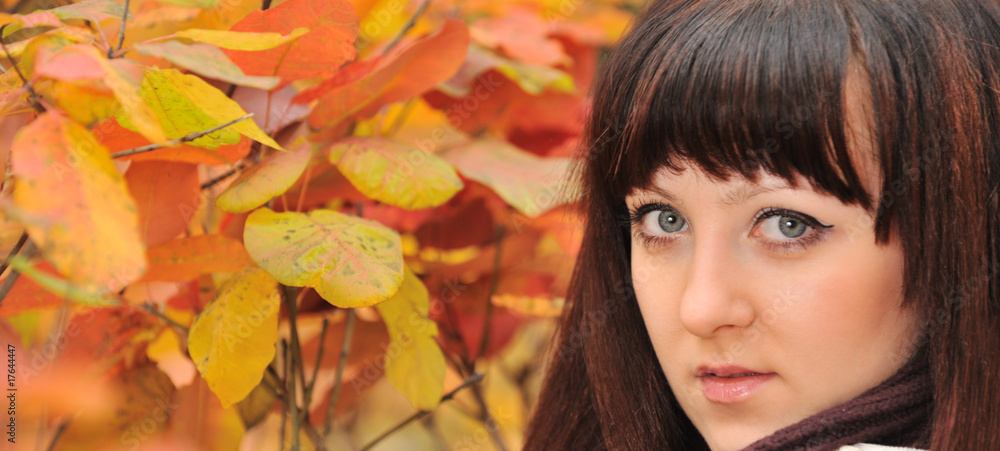 The girl in an autumn forest The girl in an autumn forest