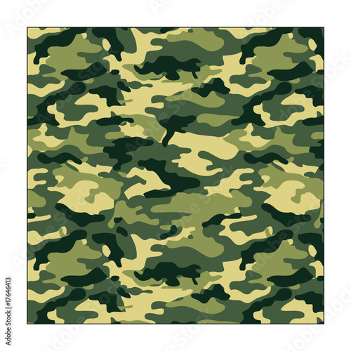 camouflage_01