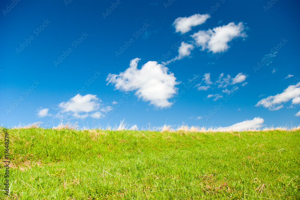 Beautiful Green Meadow with white cloud