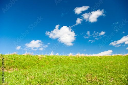 Beautiful Green Meadow with white cloud