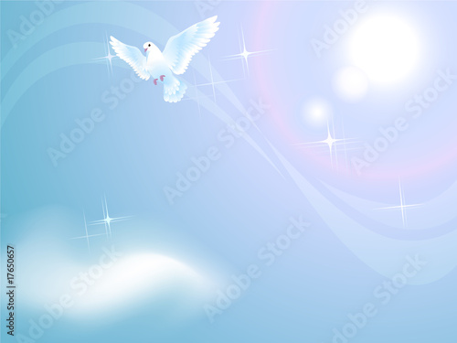 Pigeon in sunny sky