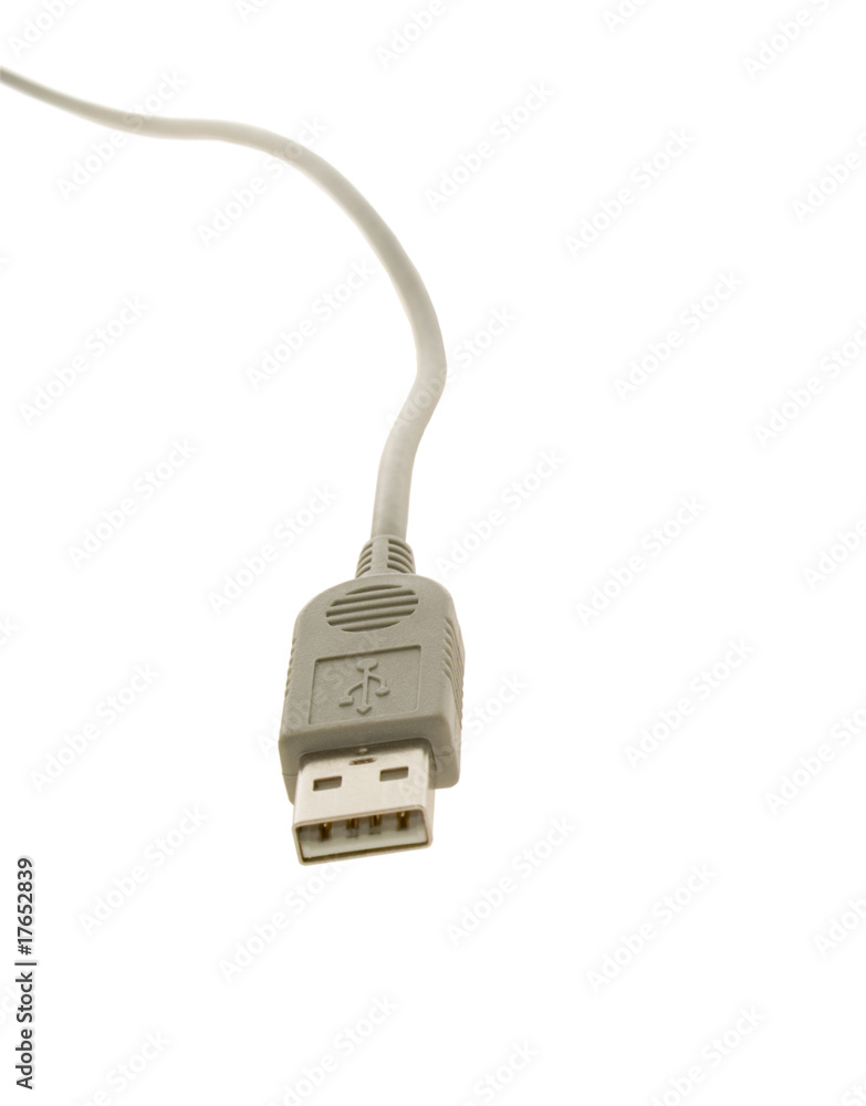 usb cord isolated on the white background usb cord isolated on the white background