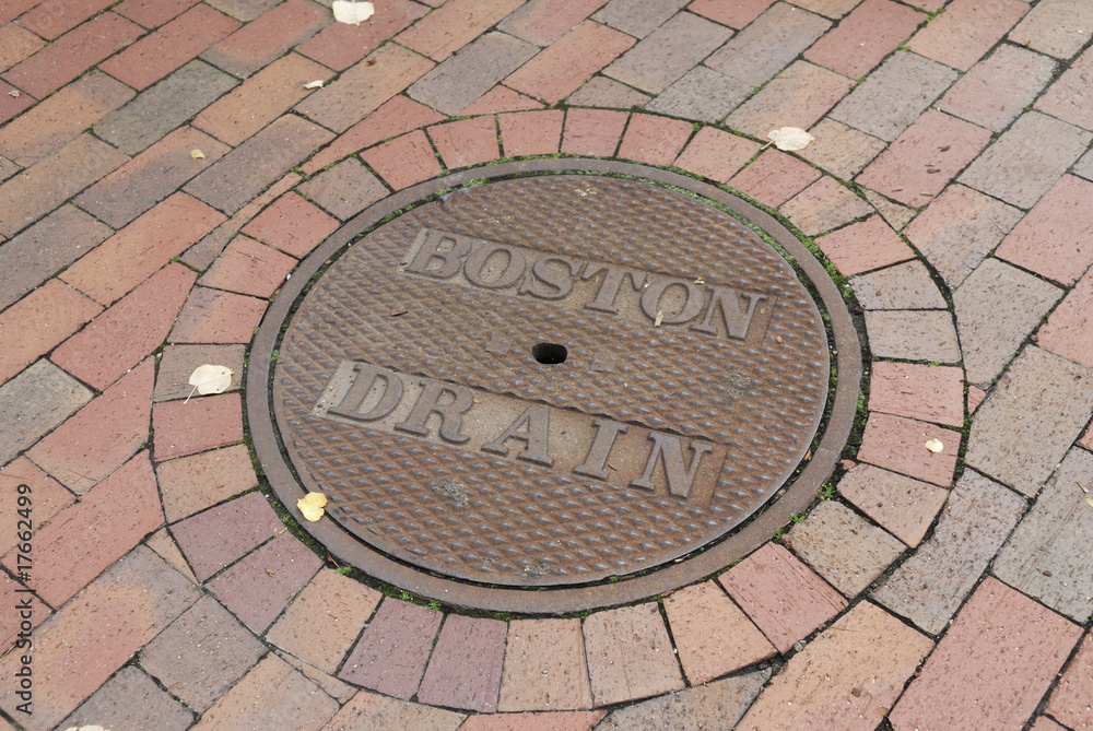 Boston drain cover