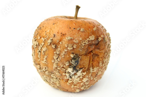 Verschimmelter Apfel