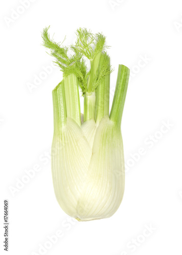 Fresh fennel