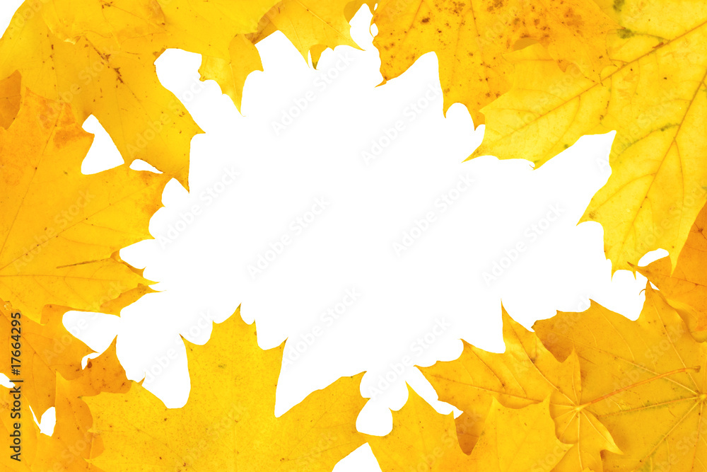 yellow autumn fall leaf frame background yellow autumn fall leaf frame background