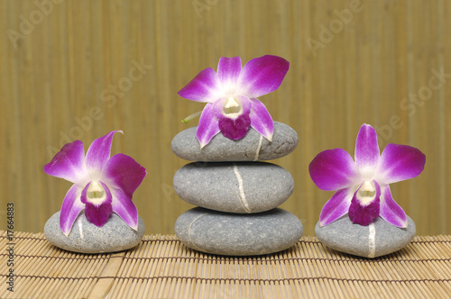 Beautiful orchid on gray stone on bamboo mat