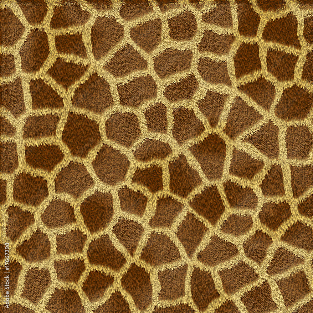 Giraffe fur texture Giraffe fur texture