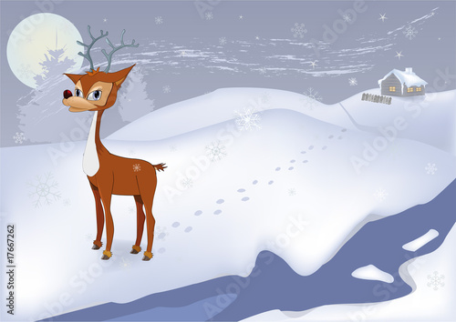 deer in the cold winter