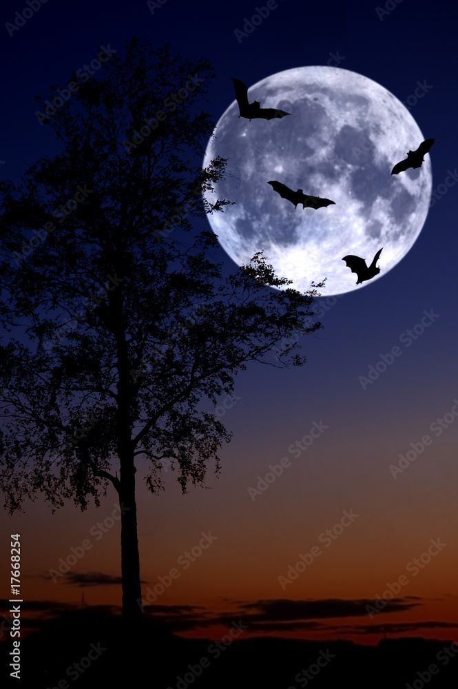 moon moon
