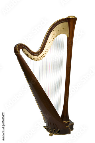 Obraz na plátne Harp