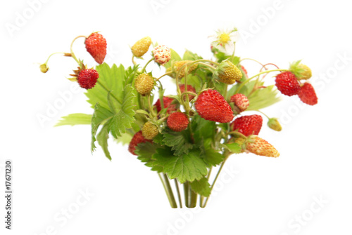 Wild strawberries